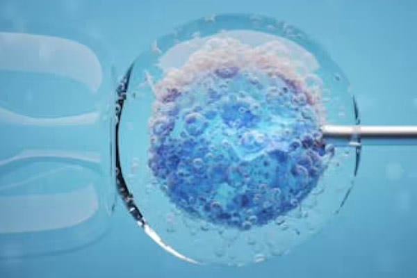 surrogacy-price2.jpg