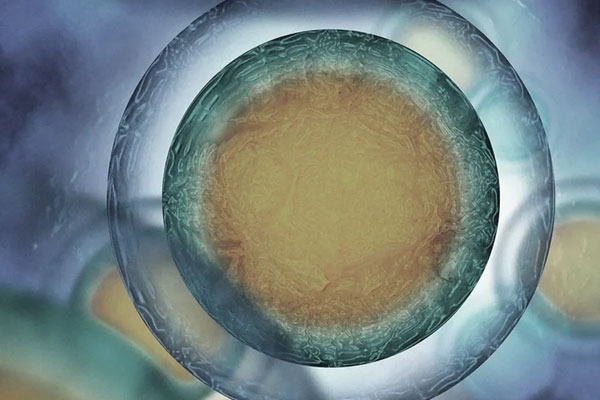 代孕合同注意事项